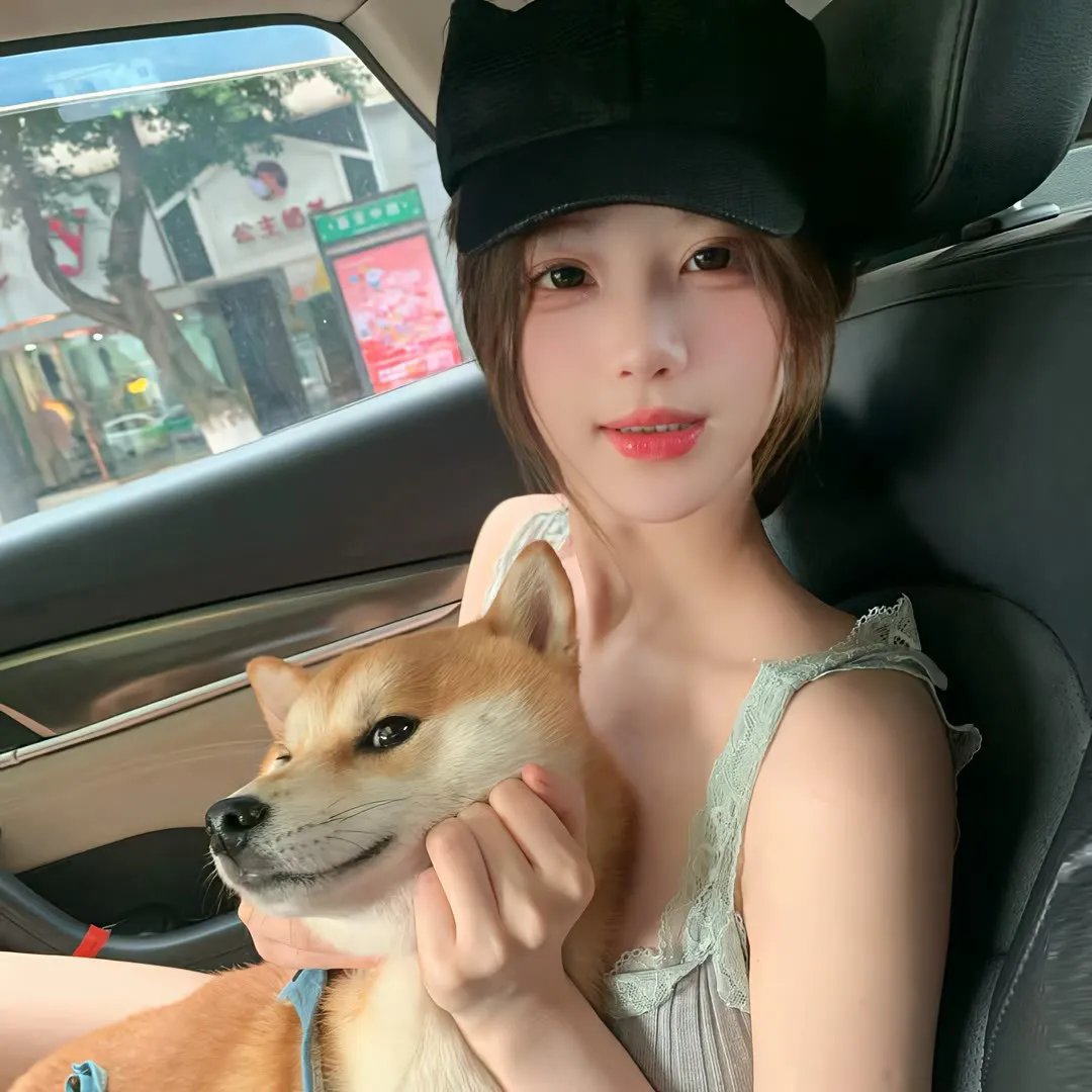 最后的飞行